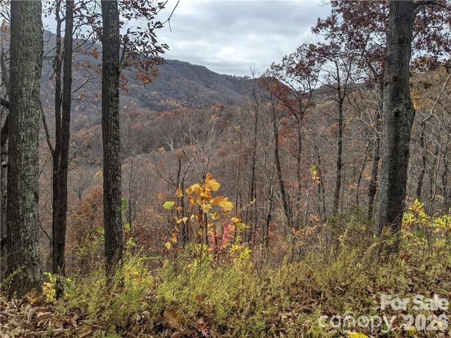 367 Kestrel Lane T-85, Black Mountain, NC 28711