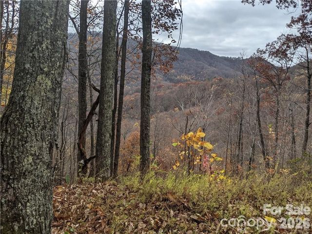 367 Kestrel Lane T-85, Black Mountain, NC 28711