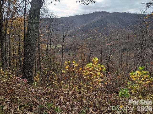 367 Kestrel Lane T-85, Black Mountain, NC 28711