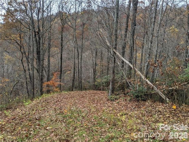 367 Kestrel Lane T-85, Black Mountain, NC 28711