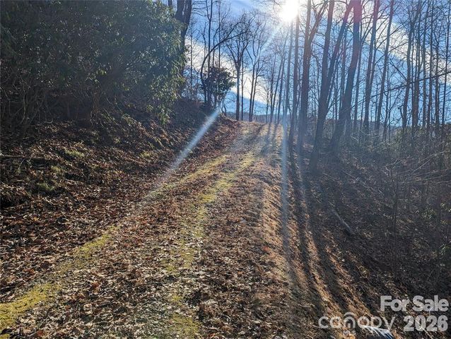 367 Kestrel Lane T-85, Black Mountain, NC 28711