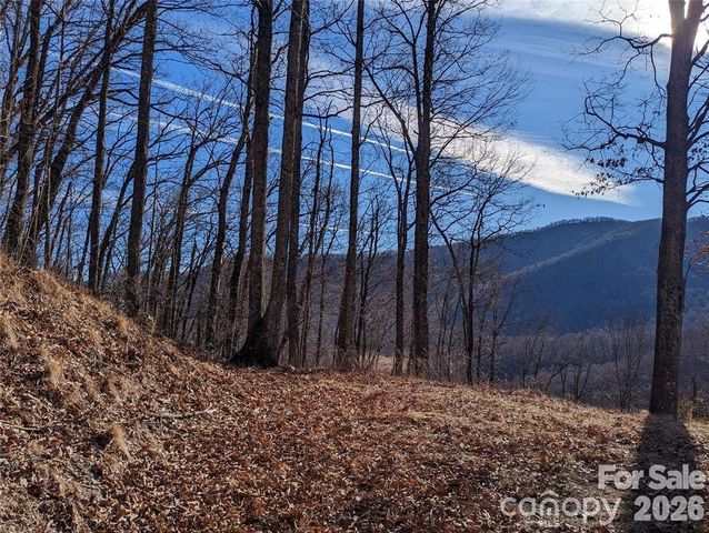 367 Kestrel Lane T-85, Black Mountain, NC 28711
