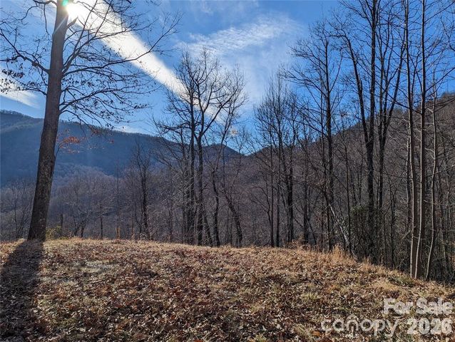 367 Kestrel Lane T-85, Black Mountain, NC 28711