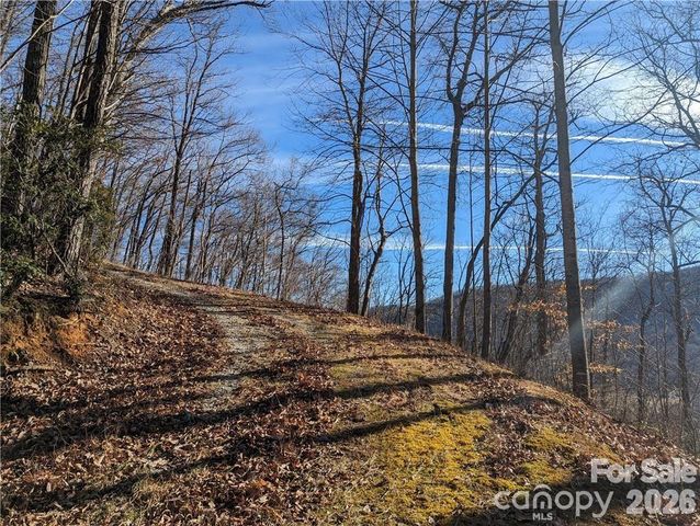 367 Kestrel Lane T-85, Black Mountain, NC 28711