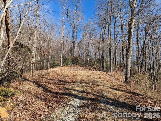 367 Kestrel Lane T-85, Black Mountain, NC 28711