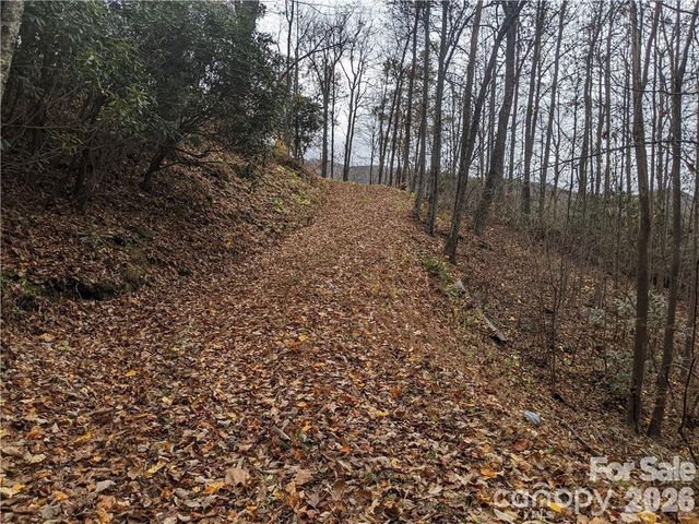 367 Kestrel Lane T-85, Black Mountain, NC 28711