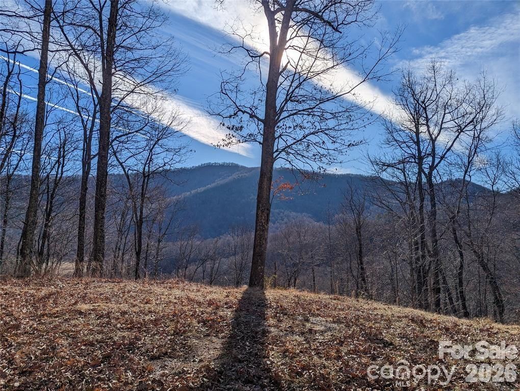 367 Kestrel Lane T-85, Black Mountain, NC 28711