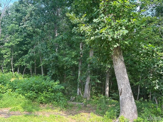 129 Shamrock Lane, Bourbon, MO 65441
