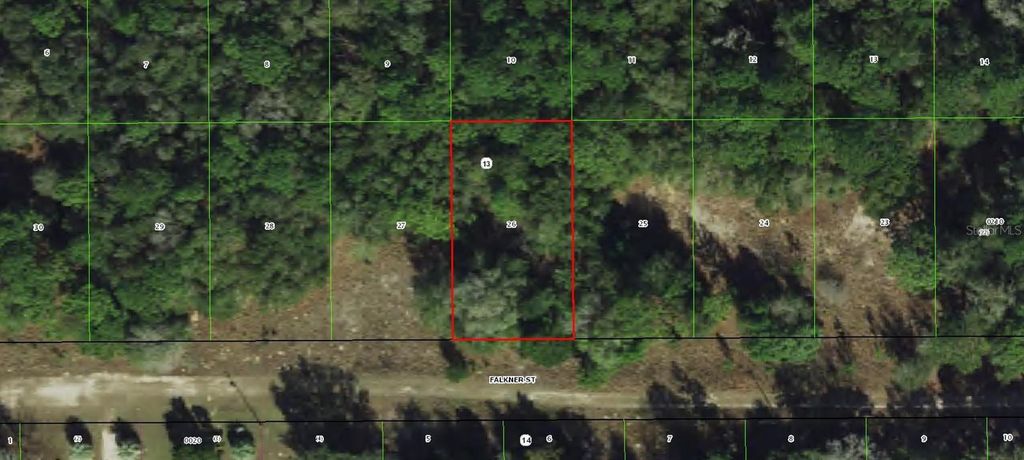 2006 FALKNER STREET, Inverness, FL 34453