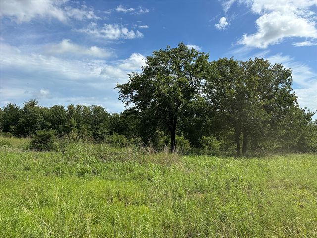 570 Big Salty Lane, Springtown, TX 76082