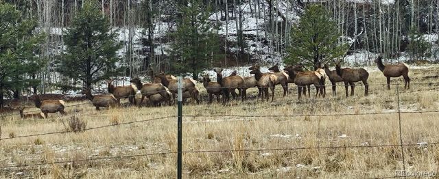 400 Bear Trax Drive, Canon City, CO 81212