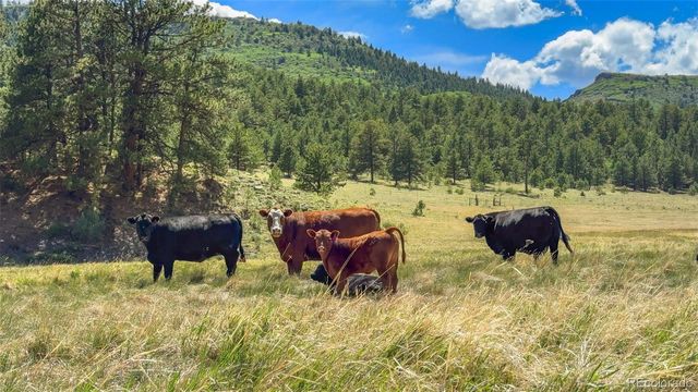 400 Bear Trax Drive, Canon City, CO 81212