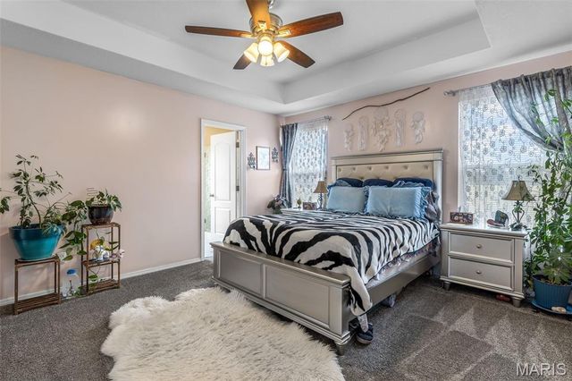 13723 Willow Wind Drive, De Soto, MO 63020