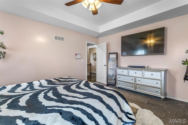 13723 Willow Wind Drive, De Soto, MO 63020