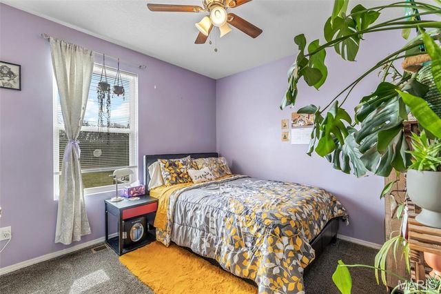 13723 Willow Wind Drive, De Soto, MO 63020