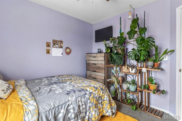 13723 Willow Wind Drive, De Soto, MO 63020