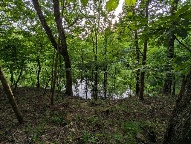 24 Cedar Creek Drive, Clarksville, AR 72830