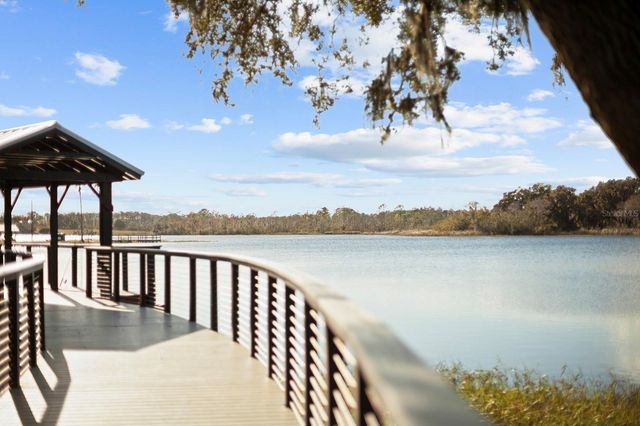 161 PRAIRIE FALCON DRIVE, Groveland, FL 34736