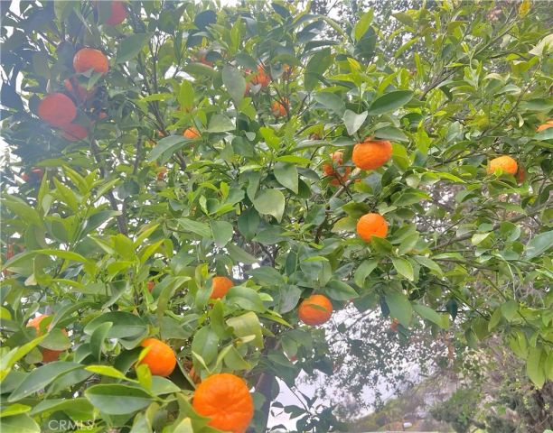 2846 Willow Glen Drive, El Cajon, CA 92019