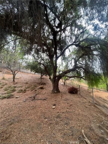 2846 Willow Glen Drive, El Cajon, CA 92019