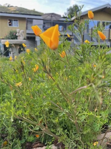 2846 Willow Glen Drive, El Cajon, CA 92019