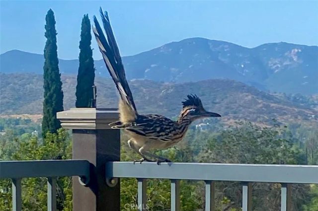 2846 Willow Glen Drive, El Cajon, CA 92019