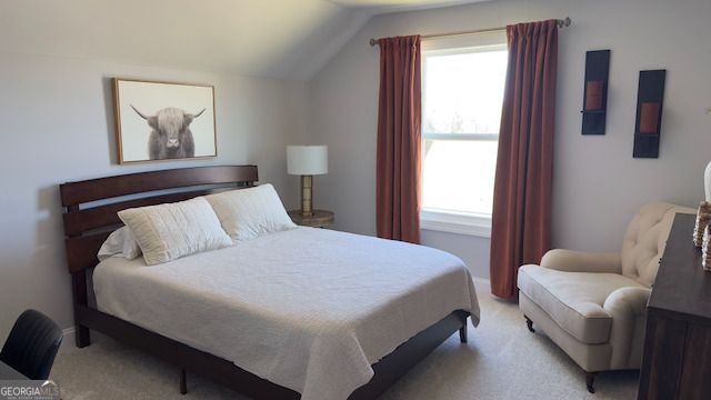 230 Bluff Mill Farms Drive, Senoia, GA 30276