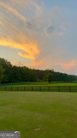230 Bluff Mill Farms Drive, Senoia, GA 30276