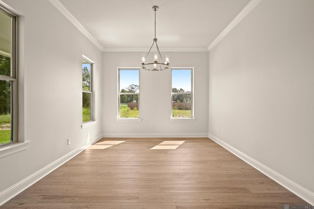 37273 Cattle Ave, Prairieville, LA 70769