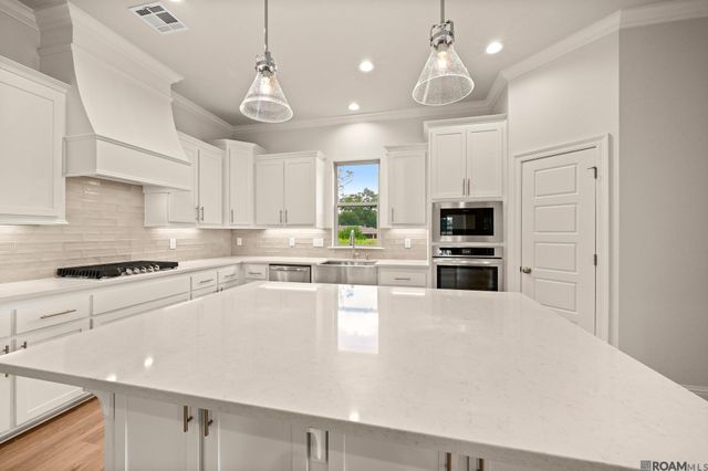 37273 Cattle Ave, Prairieville, LA 70769