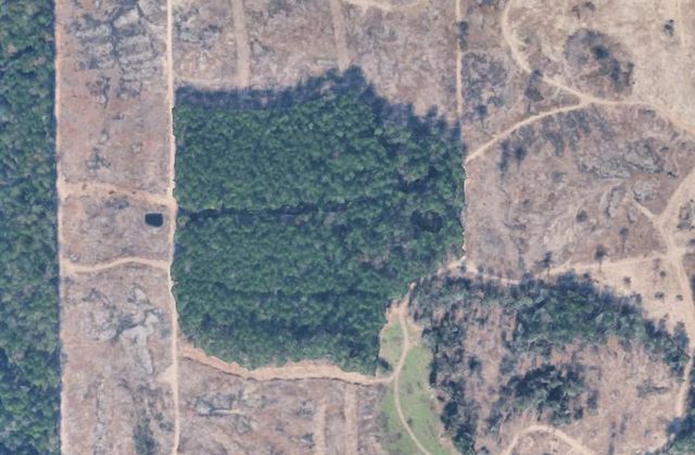 TBD Morgan Cemetary Rd, Cleveland, TX 77328