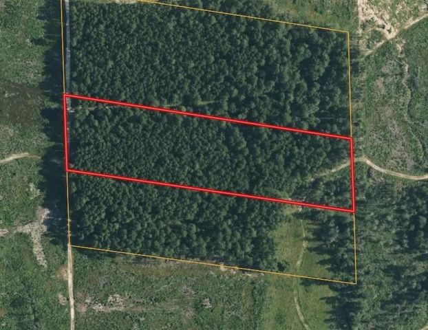 TBD Morgan Cemetary Rd, Cleveland, TX 77328