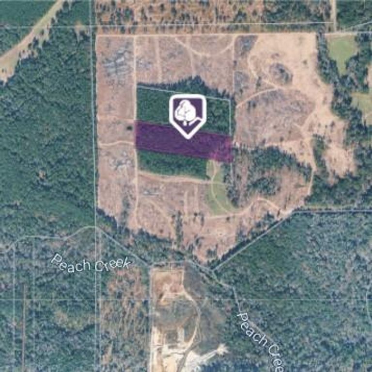 TBD Morgan Cemetary Rd, Cleveland, TX 77328