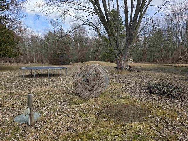 1711 S Poseyville Road, Ingersoll Twp, MI 48640