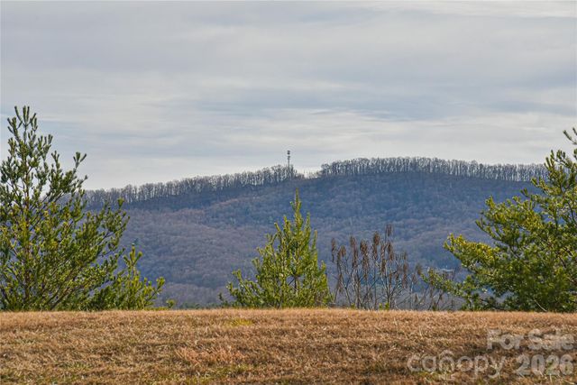 4 Heather Way B, Candler, NC 28715