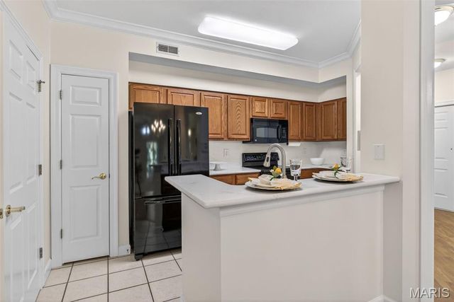 13115 Mill Crossing Court 205, St Louis, MO 63141
