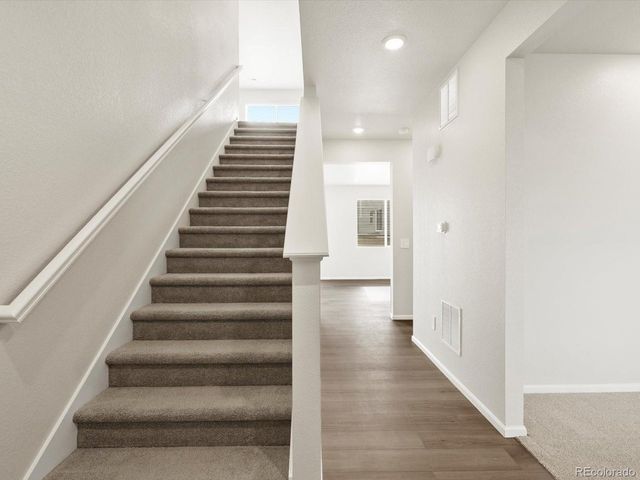 1628 Yampa River Dr, Windsor, CO 80550