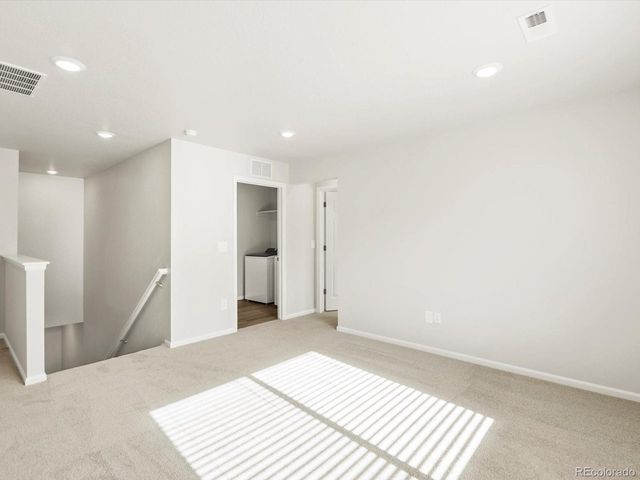 1628 Yampa River Dr, Windsor, CO 80550