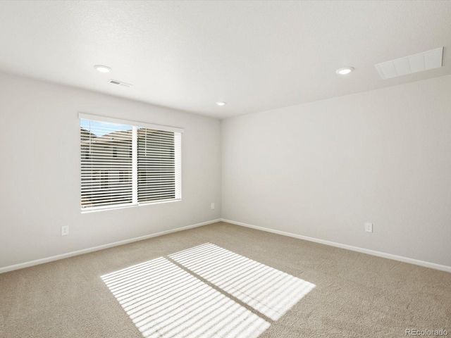 1628 Yampa River Dr, Windsor, CO 80550