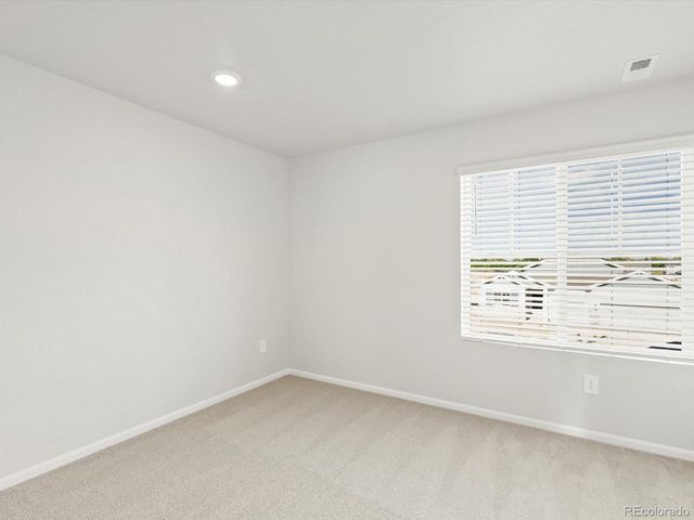 1628 Yampa River Dr, Windsor, CO 80550