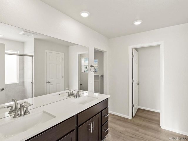 1628 Yampa River Dr, Windsor, CO 80550