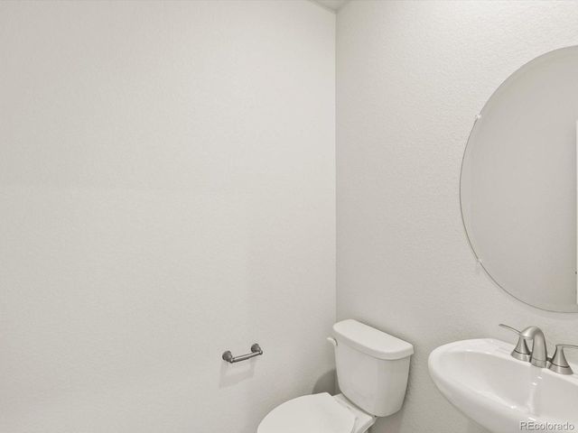 1628 Yampa River Dr, Windsor, CO 80550