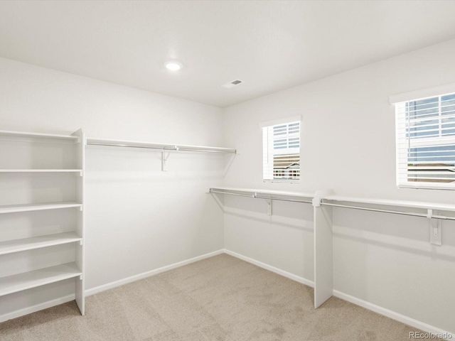 1628 Yampa River Dr, Windsor, CO 80550