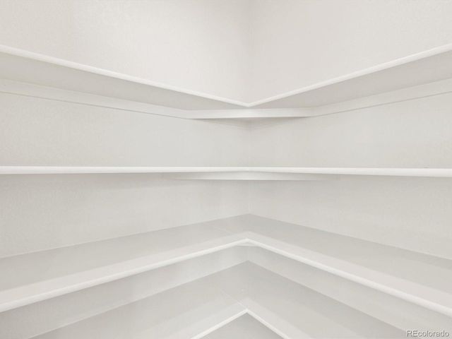 1628 Yampa River Dr, Windsor, CO 80550