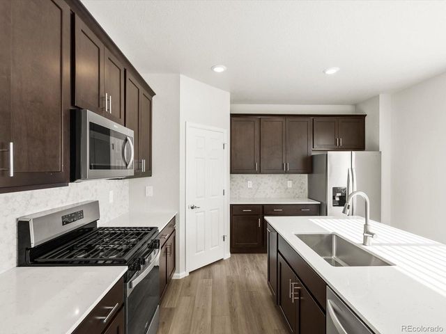 1628 Yampa River Dr, Windsor, CO 80550