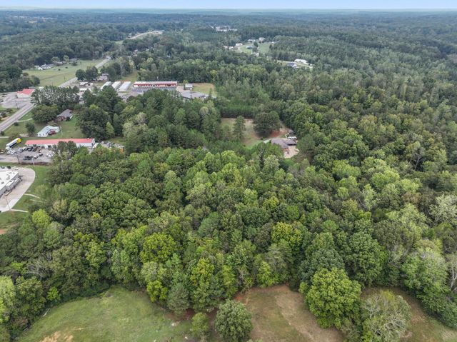 0 Hwy 100, Centerville, TN 37033