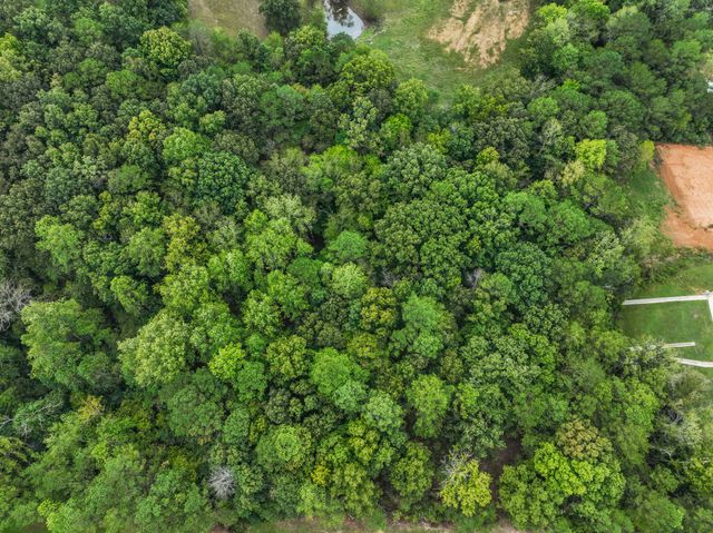 0 Hwy 100, Centerville, TN 37033