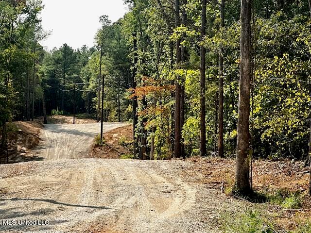14000 Davenport Road, Byhalia, MS 38611