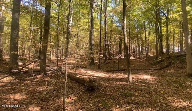 14000 Davenport Road, Byhalia, MS 38611