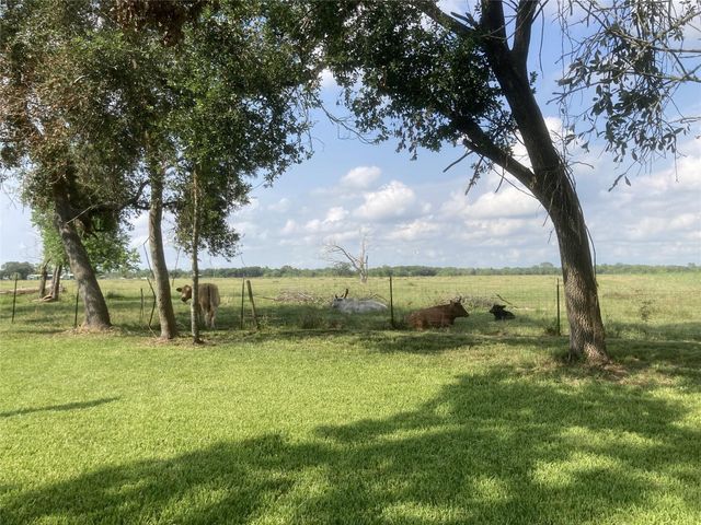 4003 Country Trails Street, Alvin, TX 77511